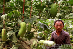 大荔吃瓜最新事件爆料新闻